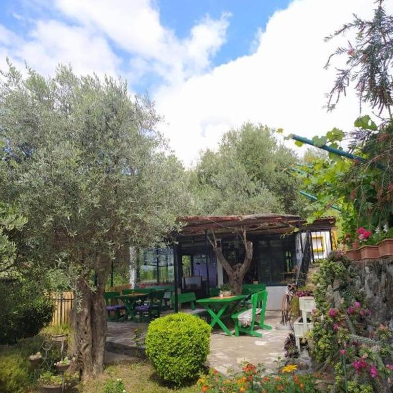 Olive trees - Apartment with Sea View - 3