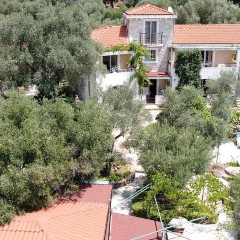 Olive trees - Apartment with Sea View - 4