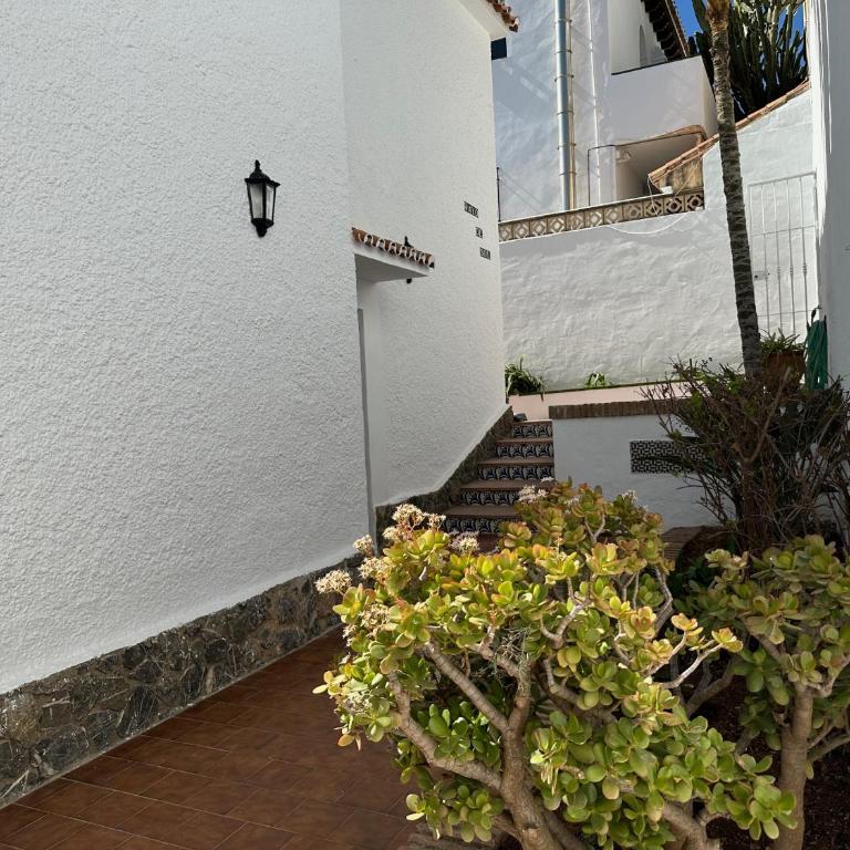 Nerja Paradise Rentals - Villa Rayo de Sol - Villa - 62