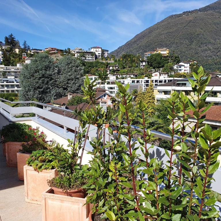 Ascona: San Carlo ATTIKA - Appartamento con 2 Camere da Letto - 20