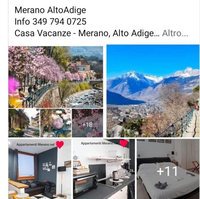 Appartamento Merano nel cuore - One-Bedroom Apartment - 44