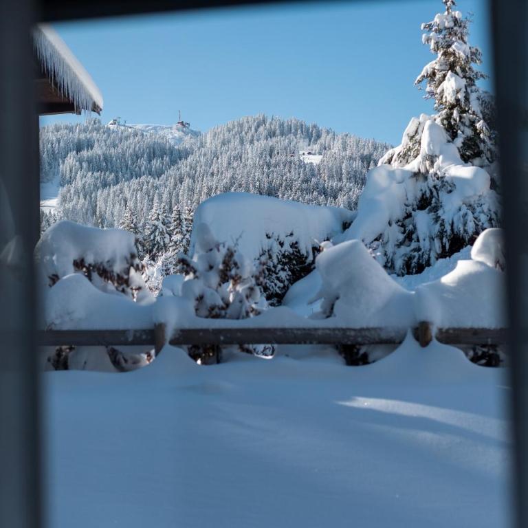 Flat Polar - Megève - Mont d'Arbois - Appartement - 10