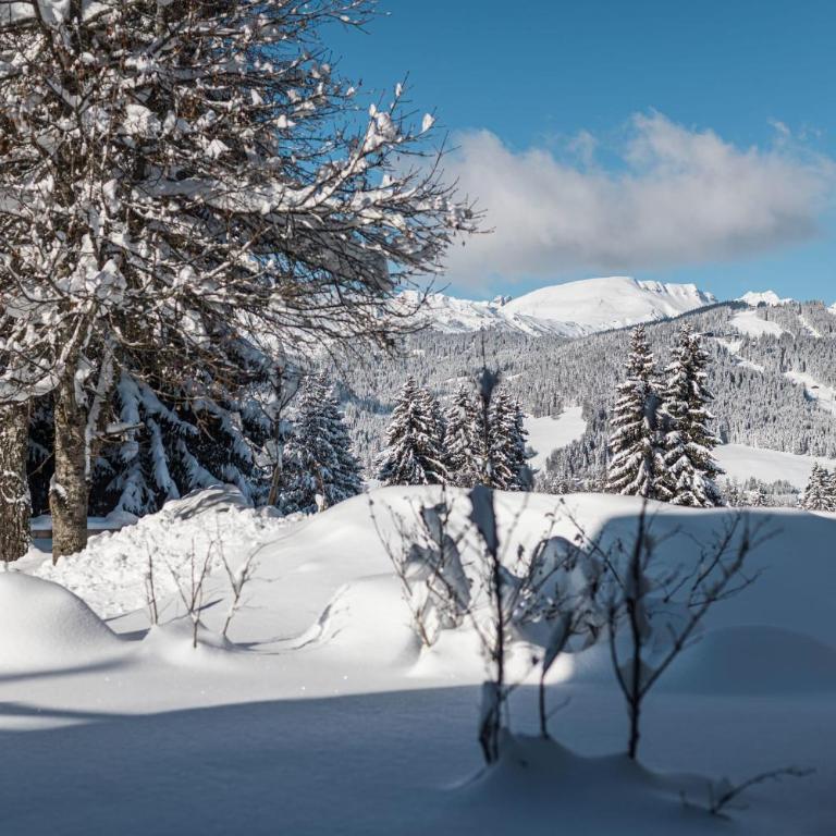 Flat Polar - Megève - Mont d'Arbois - Appartement - 28