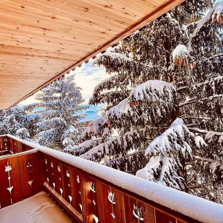 Chalet Alpe d'Huez 1850-Sea and Mountain Pleasure Avec 2 appartements- 1 Appartement 3 Chambres 8 Couchages - 3 Salles d'eau et 1 Appartement 5 Chambres 12 Couchages 5 Salles d'eau - Jacuzzi et Sauna -Pieds des Pistes et Centre - Appartement avec Balcon - 15
