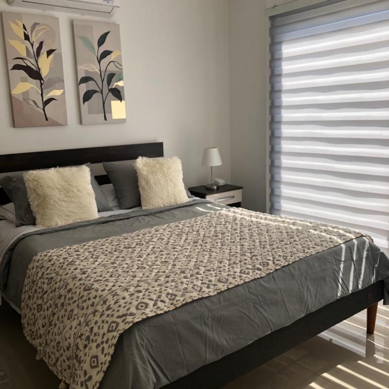 Departamento Los Canelos, a metros de Avenida Las Industrias- Incluye, NETFLIX DirecTV aire acondicionado, Internet - One-Bedroom Apartment - 18