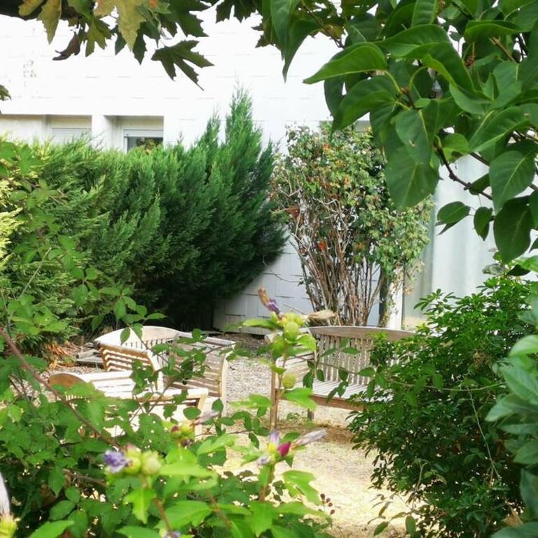 Rêve de Bisca Appartement spacieux climatisé avec jardin privatif piscine et parking privés - Appartement 1 Chambre - 42
