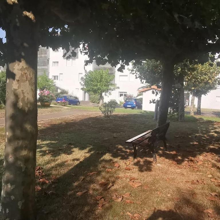 Rêve de Bisca Appartement spacieux climatisé avec jardin privatif piscine et parking privés - Appartement 1 Chambre - 48