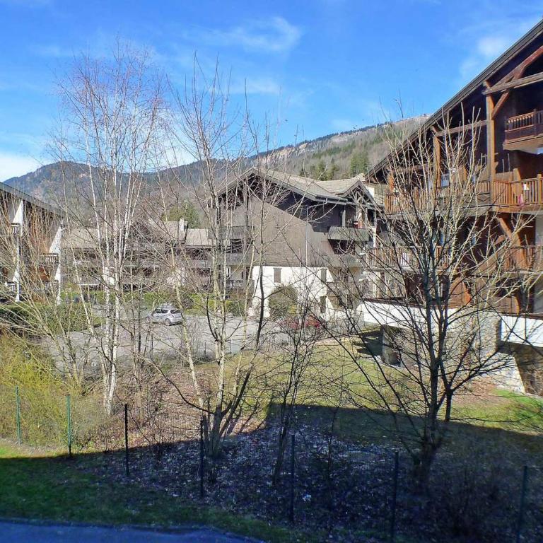 Studio cosy au centre de Samoëns, 4 pers, proche commodités - FR-1-629-65 - Estudio - 3