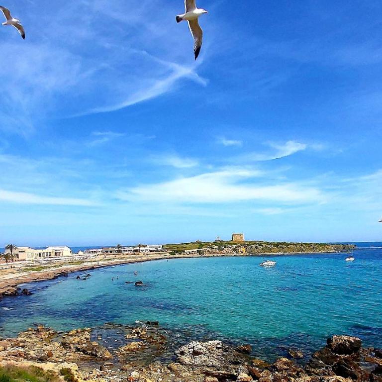 Apartament Casa Milo playa Los Locos - Apartamento de 1 dormitorio - 28
