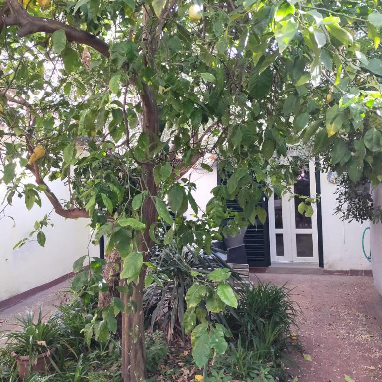La Dependance in Centro - Appartamento con 1 Camera da Letto - 2