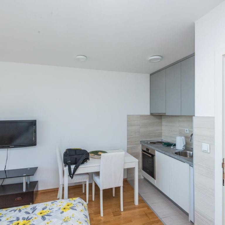 HAFSA apartments Sarajevo City view - Apartman sa 1 Spavaćom Sobom - 6