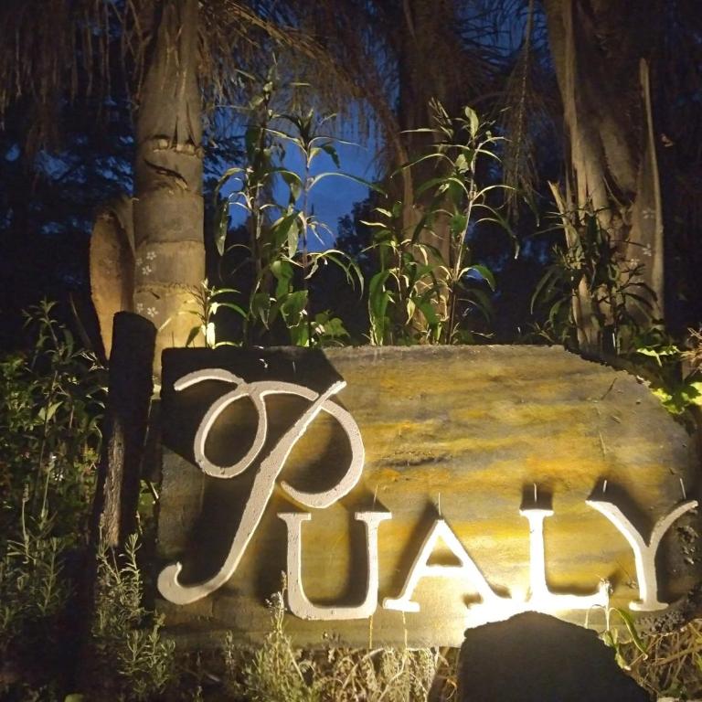Pualy Resort & Spa - Suite - 16