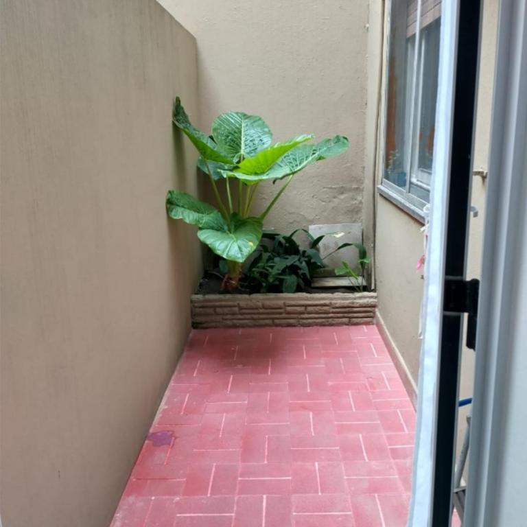 Departamento Alvarado con estacionamiento - Apartamento de 1 dormitorio - 10