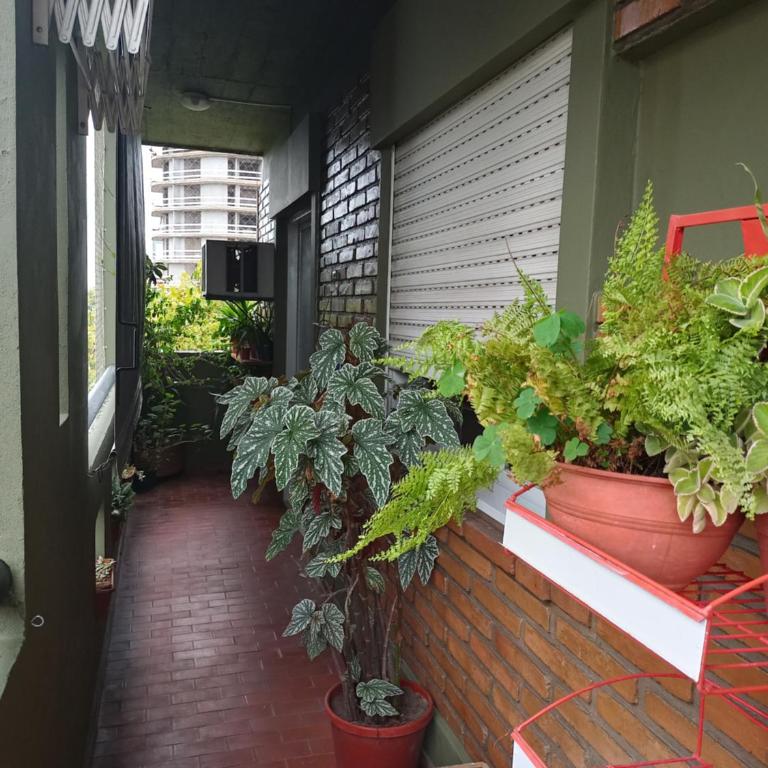 Rincón Verde - Two-Bedroom Apartment - 2