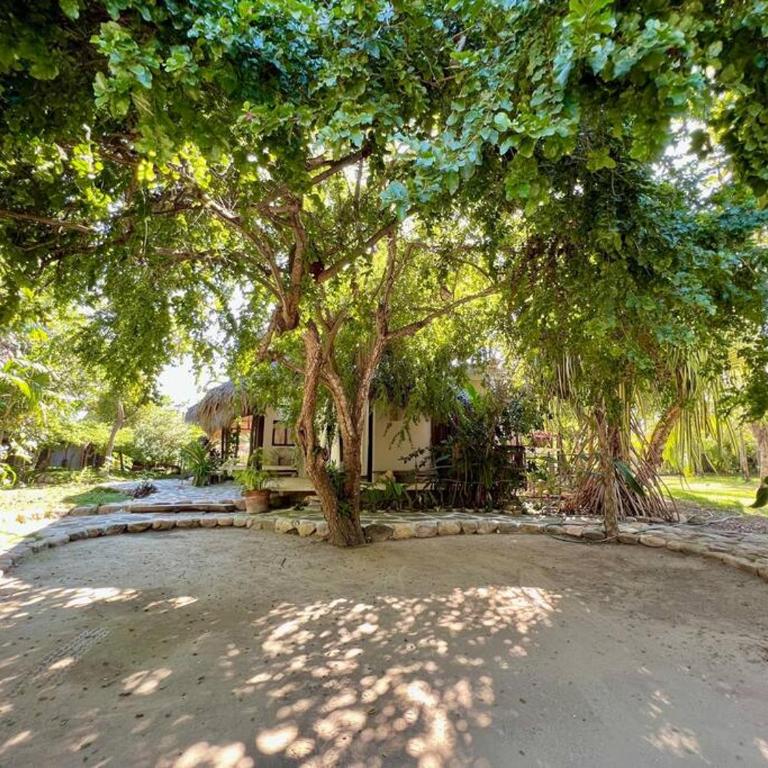 Casa KUUL, elegant fusion of house and garden. - Villa de 2 dormitorios - 5