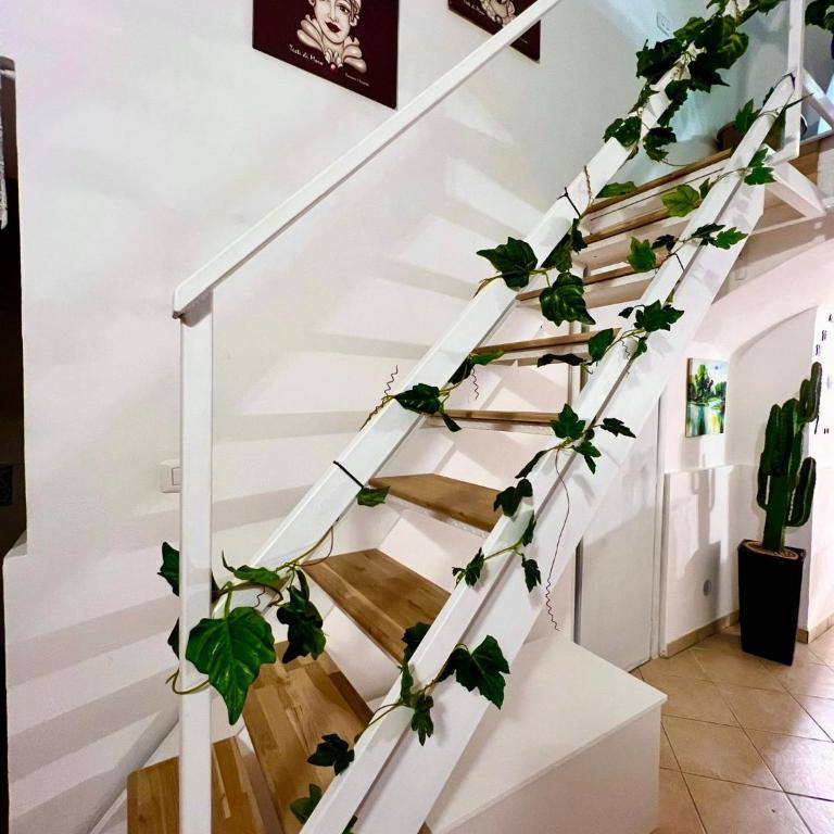 Ursino holiday apartment - One-Bedroom House - 5