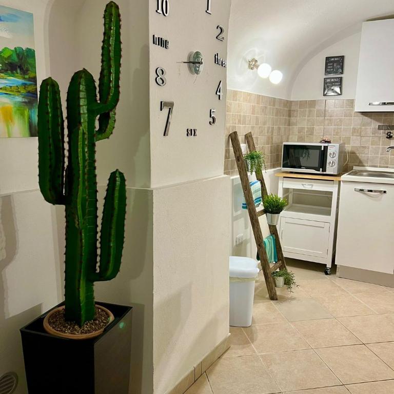 Ursino holiday apartment - One-Bedroom House - 12