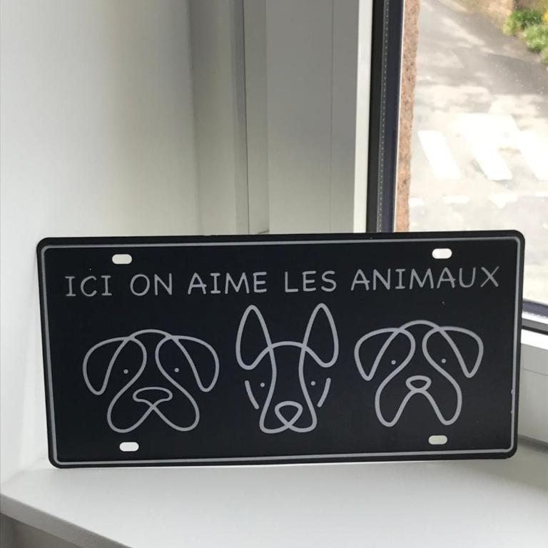 Joli appartement très bien situé - Perros-Guirec - Apartamento de 2 dormitorios - 9