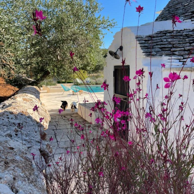 Trullo Matilde - Vacation Home - 24