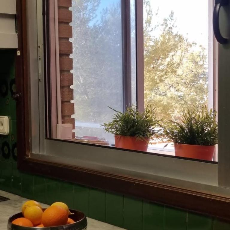 BAHIA MAR SALOU - One-Bedroom Apartment - 33