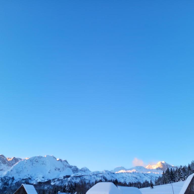 Apartman Mijatović - Apartment - 27