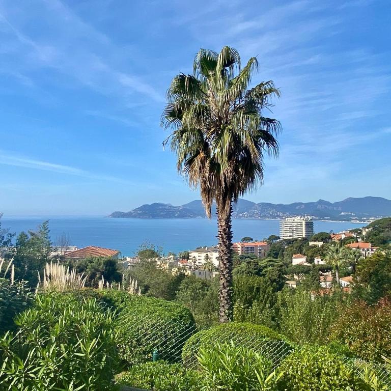 Les Ingres SCLS - Parking, Piscine, Vue Mer - Appartement - Vue sur Mer - 15