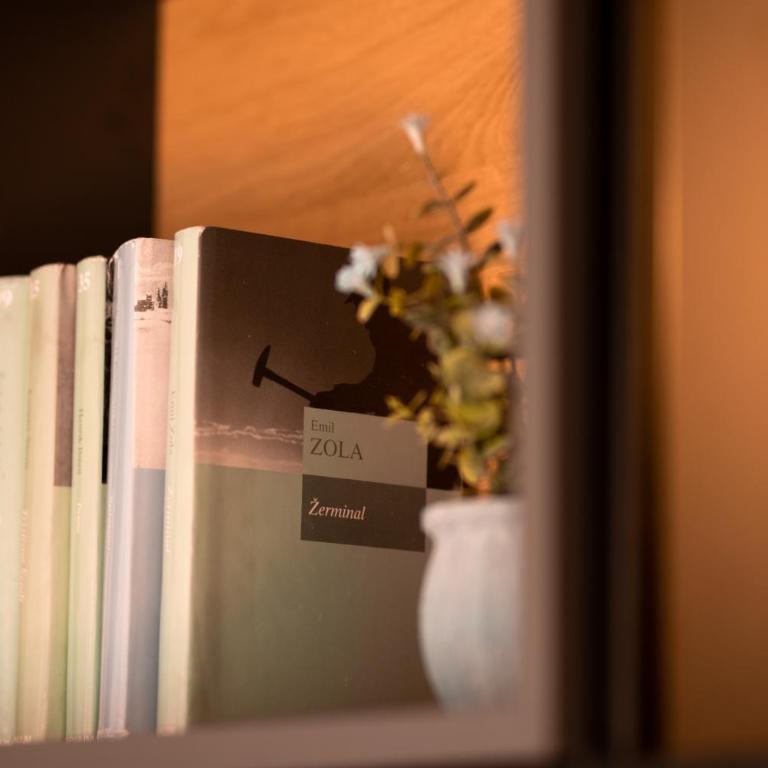 LuMi Kolasin - Apartman sa 1 Spavaćom Sobom - 9