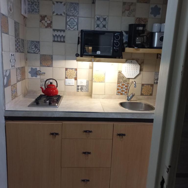 Amarás Bariloche Departamentos - Apartamento con vistas al lago - 10