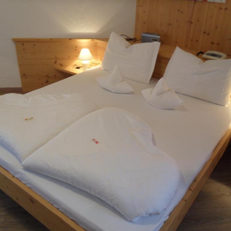 Hotel FleurAlp - Suite Junior con terraza - 5