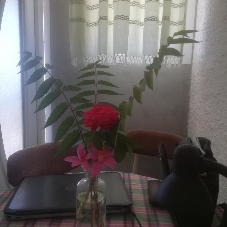 PLAVOBELA KUĆA SA MAGIČNIM POGLEDOM NA MORE - Two-Bedroom House - 20