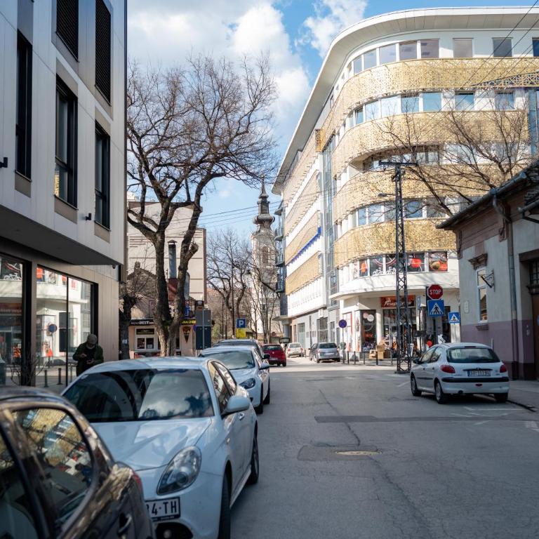 Apartman Maja Lux - Apartment - 62