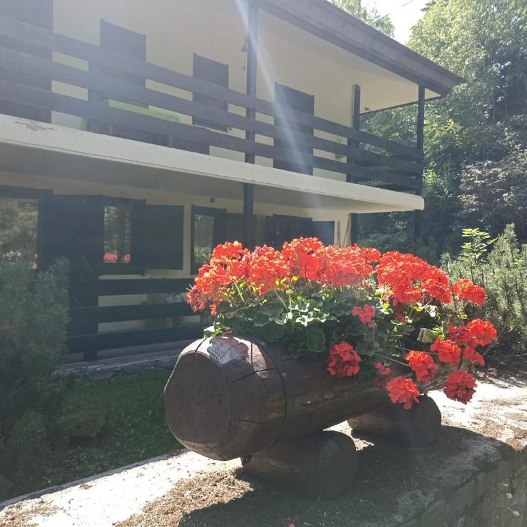 La petite maison - Appartamento con 2 Camere da Letto - 33