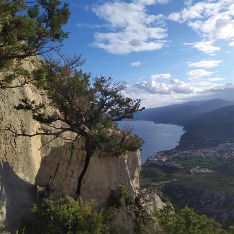 Appartamento a 50 mt dal mare - Appartamento con 2 Camere da Letto - 37