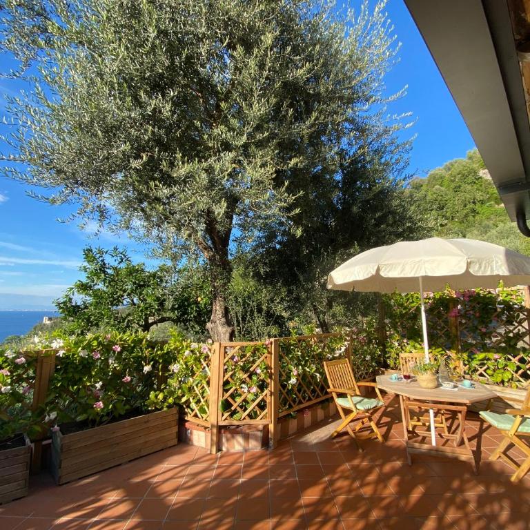 Orange Cottage Moderno tra gli ulivi di Sorrento - Casa con 1 Camera da Letto - 3