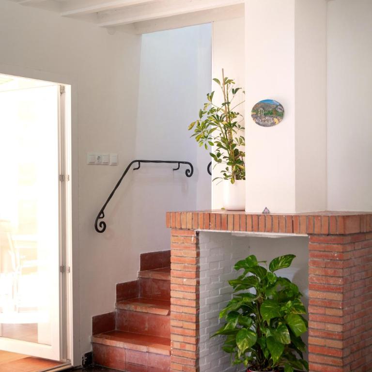 Finca palmers - Casa de 4 dormitorios - 18