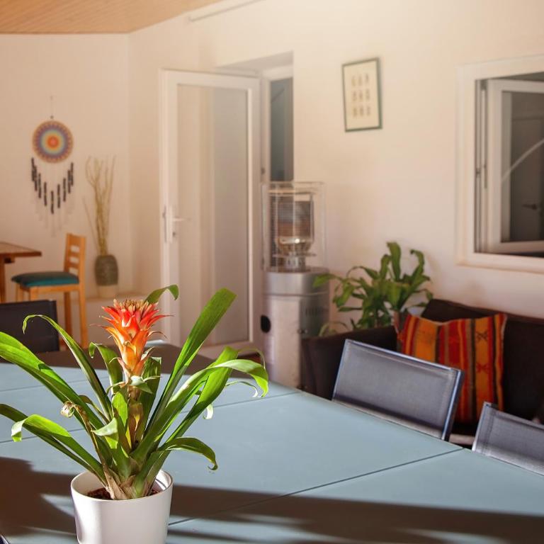Finca palmers - Casa de 4 dormitorios - 27