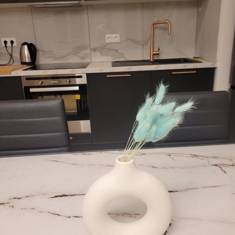 Appartement chic 5 min Disneyland/Vallée Village - Apartment mit 1 Schlafzimmer - 11