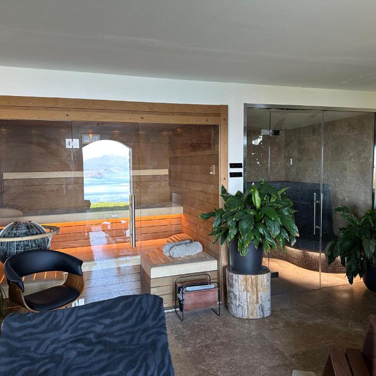 Private Luxury Spa & Silence Retreat with Spectacular View over the Lake Maggiore - Appartamento con Vista Lago e Accesso Spa - 19