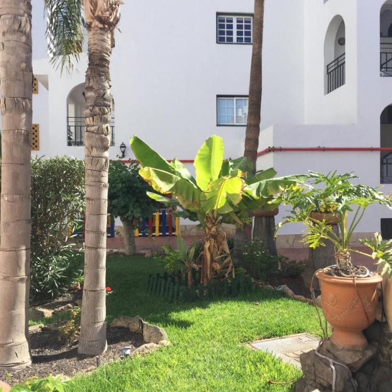 Beachfront Private Apartment in Pueblo Torviscas Sunset Harbour - Apartamento de 1 dormitorio - 30