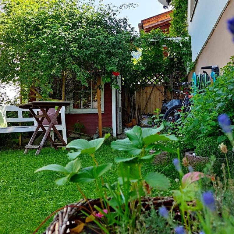 Ferienwohnung Elisa - Apartment mit 1 Schlafzimmer - 14