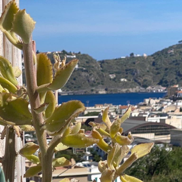TaliaKà B & B - Camera Matrimoniale Deluxe con Balcone e Vista Mare - 9