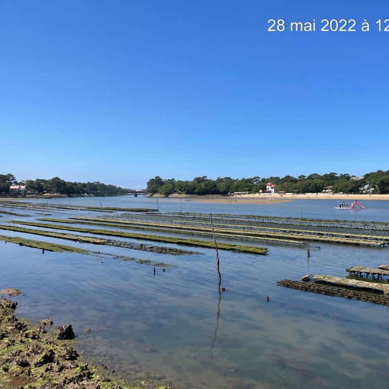 Appartement HOSSEGOR plage SUD Classé 3 étoiles - Apartment mit 2 Schlafzimmern - 59