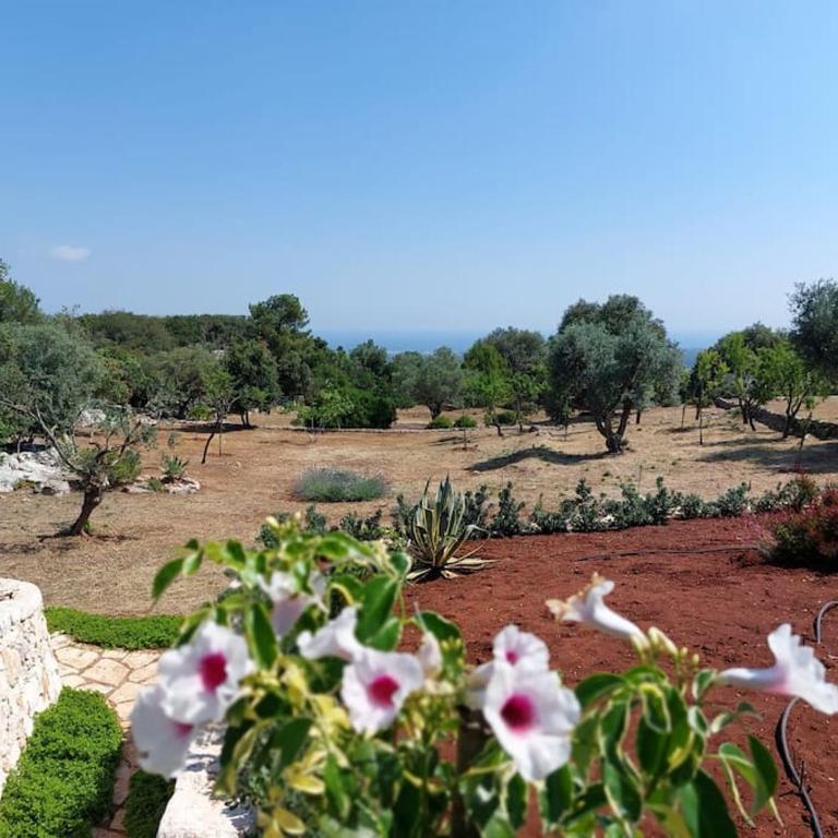 Trullo dei Mori, sea view villa with swimming pool - Three-Bedroom Villa - 46