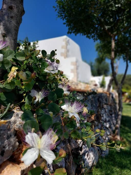 Trullo dei Mori, sea view villa with swimming pool - Three-Bedroom Villa - 18