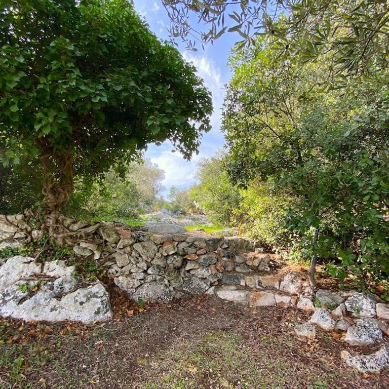 Trullo dei Mori, sea view villa with swimming pool - Three-Bedroom Villa - 51