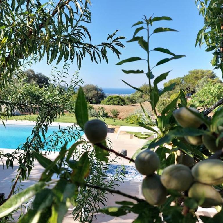 Trullo dei Mori, sea view villa with swimming pool - Three-Bedroom Villa - 40