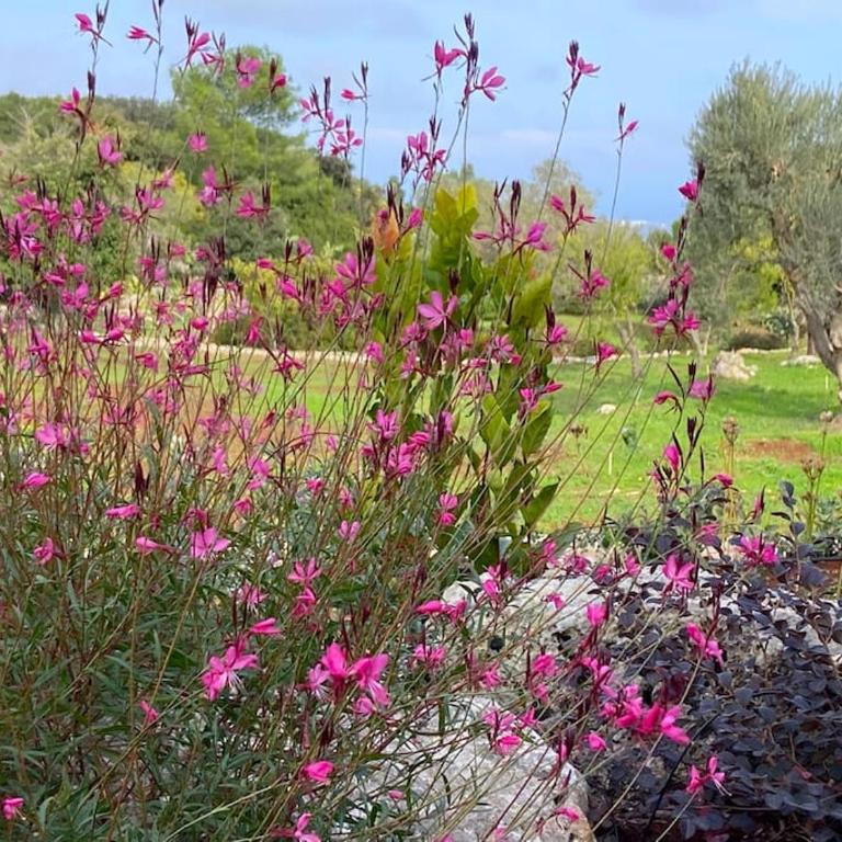 Trullo dei Mori, sea view villa with swimming pool - Three-Bedroom Villa - 53