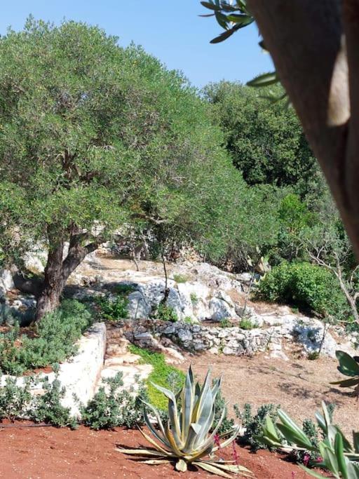 Trullo dei Mori, sea view villa with swimming pool - Three-Bedroom Villa - 45