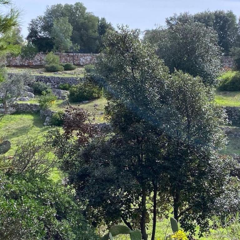 Trullo dei Mori, sea view villa with swimming pool - Three-Bedroom Villa - 44