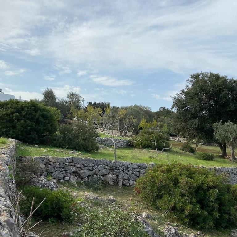 Trullo dei Mori, sea view villa with swimming pool - Three-Bedroom Villa - 47